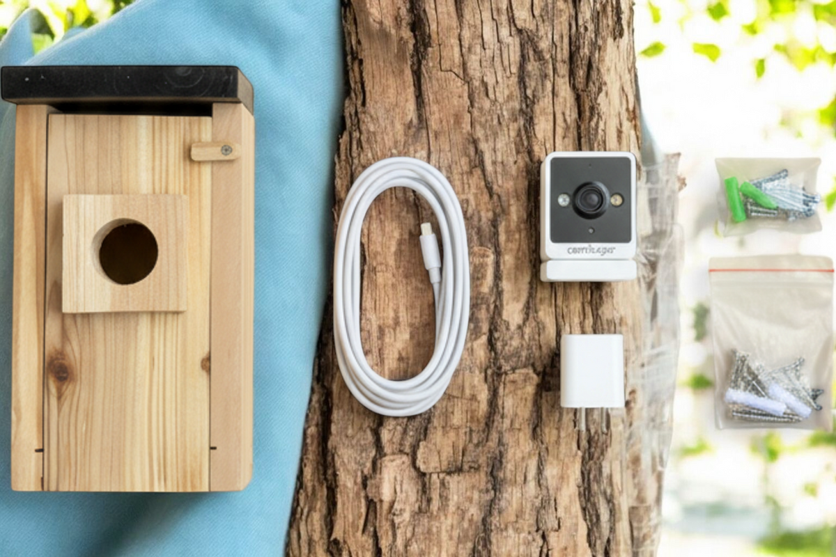 Smart Wooden Birdhouse with Remote Monitoring Camera and Night Vision