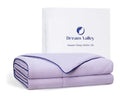 Dream Valley Queen Size Cooling Comforter Lavender Fog - product image 1