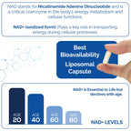 HARMONIFY NAD Supplement (500mg of 95% Pure NAD+ Per Serving, 30-Day Supply) – Vegan, Non-GMO, NAD Booster for Longevity