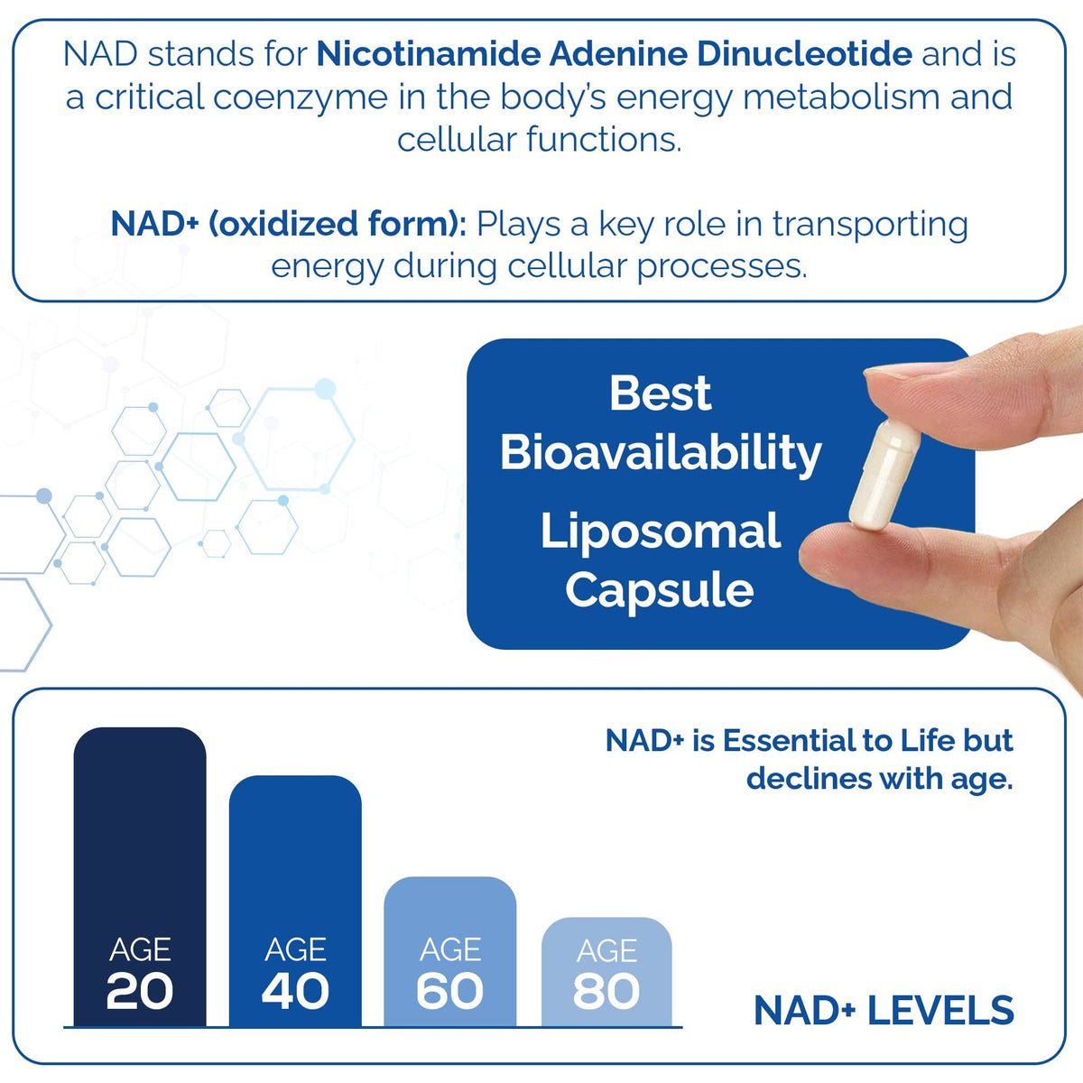 HARMONIFY NAD Supplement (500mg of 95% Pure NAD+ Per Serving, 30-Day Supply) – Vegan, Non-GMO, NAD Booster for Longevity