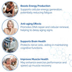 HARMONIFY NAD Supplement (500mg of 95% Pure NAD+ Per Serving, 30-Day Supply) – Vegan, Non-GMO, NAD Booster for Longevity