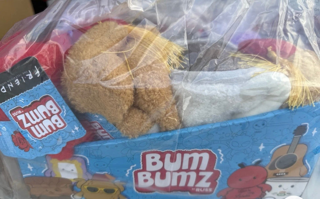 Marketplace239 LLC retail display box of 12 soft Friends TV show BumBumz plush toys with embroidered details.